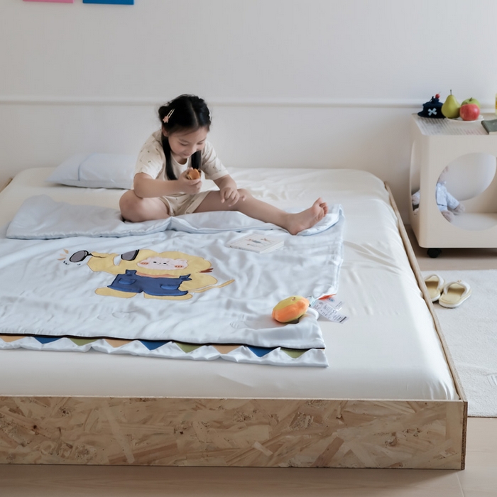 91家纺网 家纺一手货源 找家纺 喜多兔儿童家纺 2025新款小惊喜儿童蚕丝蛋白天丝抗菌夏凉被 灰蓝色运动小狮子