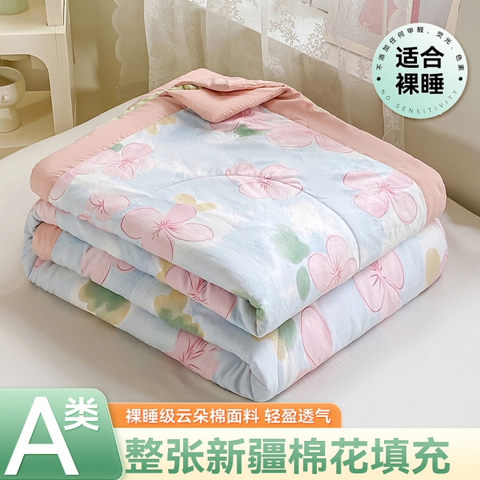 91家纺网 家纺一手货源 找家纺 （总）咏绒家纺工厂店 2025新款A类云朵棉棉花夏被被子被芯