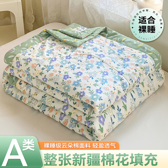 91家纺网 家纺一手货源 找家纺 （总）咏绒家纺工厂店 2025新款A类云朵棉棉花夏被被子被芯
