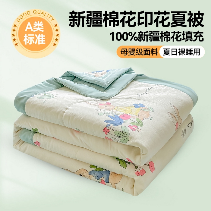 咏绒家纺工厂店 2025新款A类云朵棉棉花夏被被子被芯 爱丽丝-蓝
