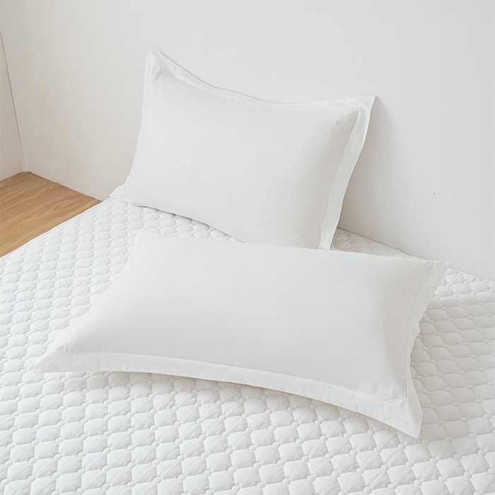 91家纺网 家纺一手货源 找家纺 丽诺床垫 2025春夏新款酒店款双面全棉抗菌床褥 酒店双面全棉抗菌床褥-白色