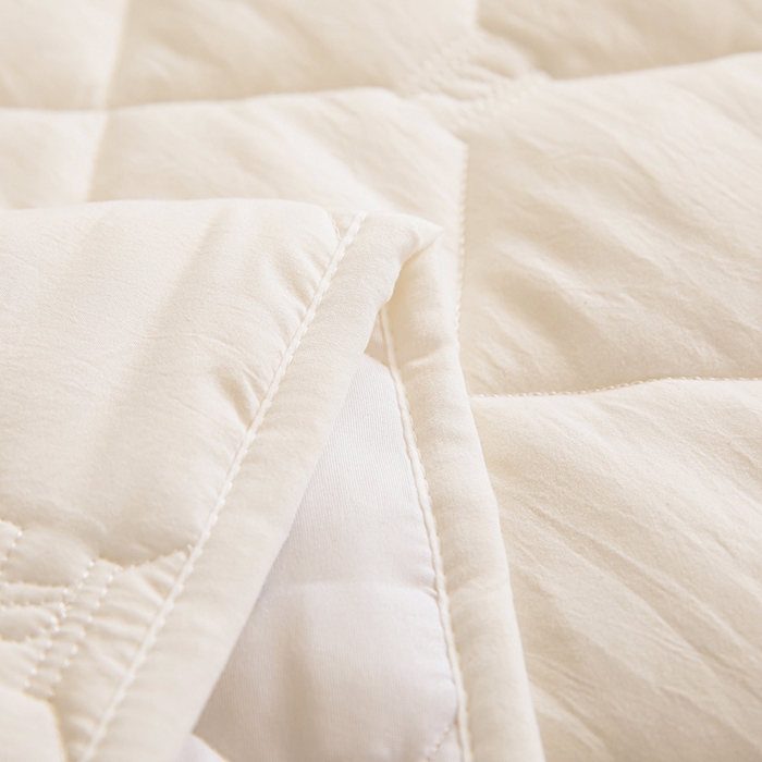 91家纺网 家纺一手货源 找家纺 安逸恋 2025新款A类水洗棉大豆抗菌学生床垫保护垫 米白