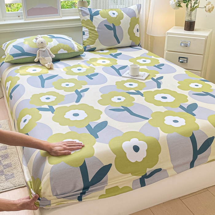 黑马家居 2025新款全棉纯棉印花单床笠床笠单件 极简主义