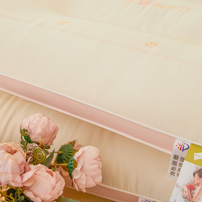 91家纺网 家纺一手货源 找家纺 晚儿 2025新款蝶梦云端枕枕头枕芯 蝶梦云端枕—白 48x74cm/只