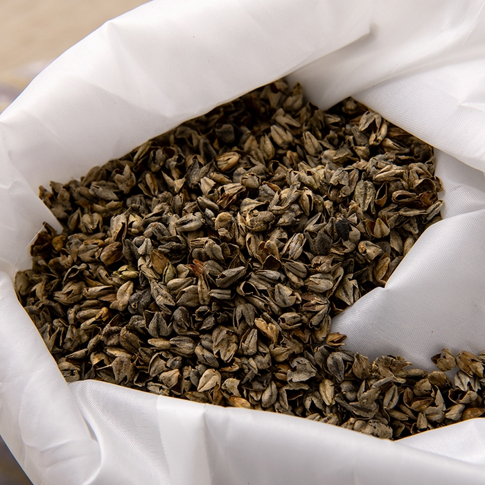 91家纺网 家纺一手货源 找家纺 大熊枕芯 2025新款全棉水洗棉荞麦三角组合枕 枕头枕芯 三角组合款-咖色 三角组合枕/对