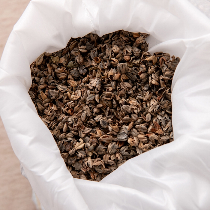 91家纺网 家纺一手货源 找家纺 大熊枕芯 2025新款全棉水洗棉荞麦三角组合枕 枕头枕芯 三角组合款-浅蓝 三角组合枕/只