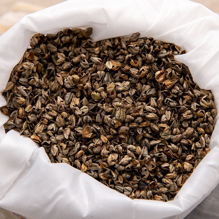 91家纺网 家纺一手货源 找家纺 大熊枕芯 2025新款全棉水洗棉荞麦三角组合枕 枕头枕芯 三角组合款-卡其 三角组合枕/对