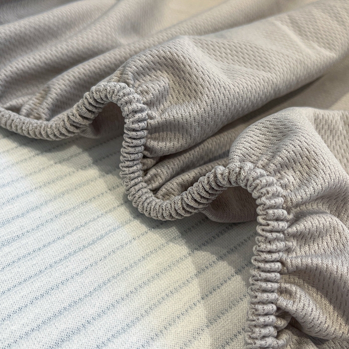 91家纺网 家纺一手货源 找家纺 如一 2025春夏新款A类卡通刺绣PE中分子冰豆豆凉感软席凉席席子 床笠款-西高地狗