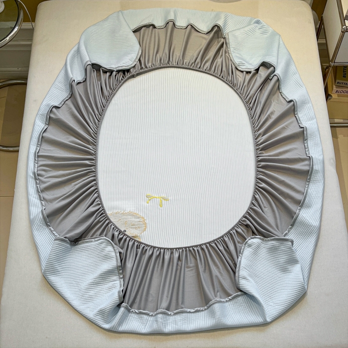 91家纺网 家纺一手货源 找家纺 如一 2025春夏新款A类卡通刺绣PE中分子冰豆豆凉感软席凉席席子 床笠款-西高地狗