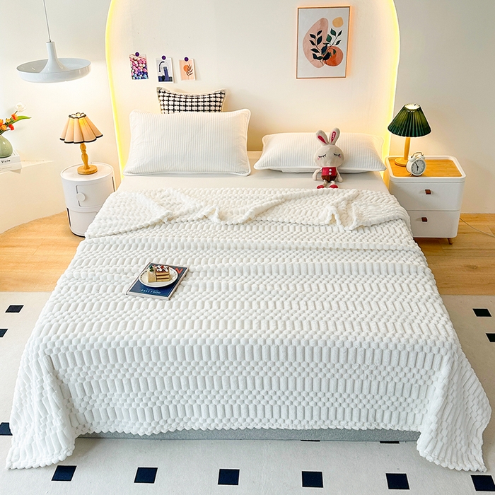 91家纺网 家纺一手货源 找家纺 芸锦豪 2025新款子母金龟绒毛毯毯子 米白