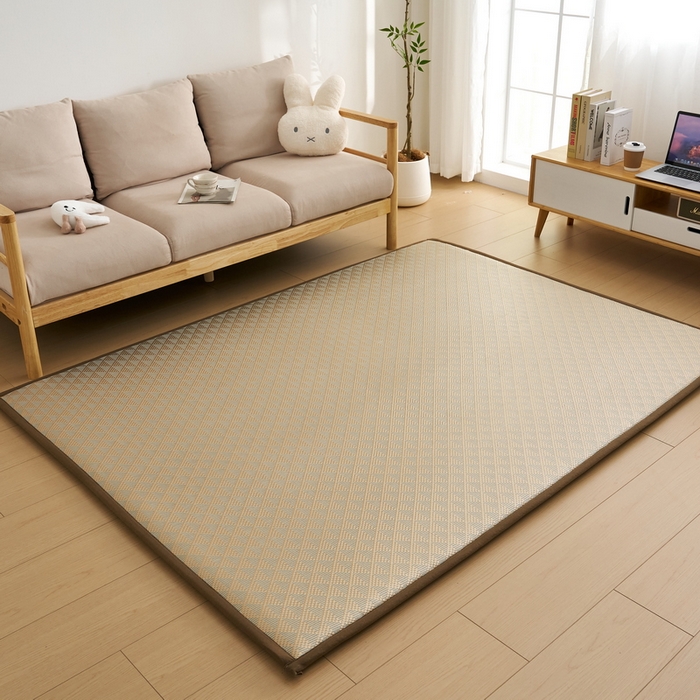 91家纺网 家纺一手货源 找家纺 （总）祁恋婷家居 2025新款A类冰丝多功能地垫