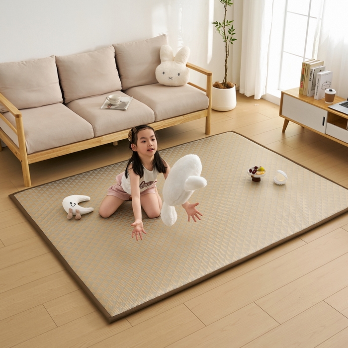 91家纺网 家纺一手货源 找家纺 （总）祁恋婷家居 2025新款A类冰丝多功能地垫