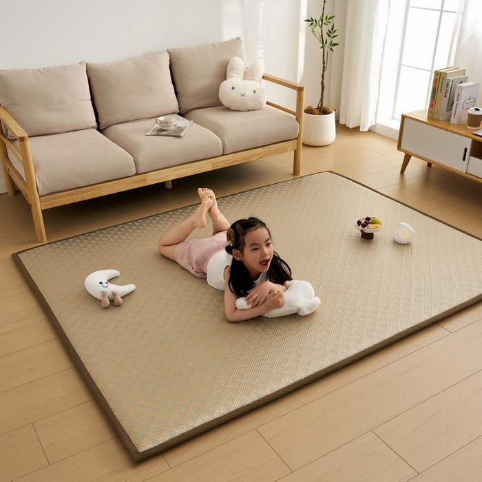 91家纺网 家纺一手货源 找家纺 （总）祁恋婷家居 2025新款A类冰丝多功能地垫