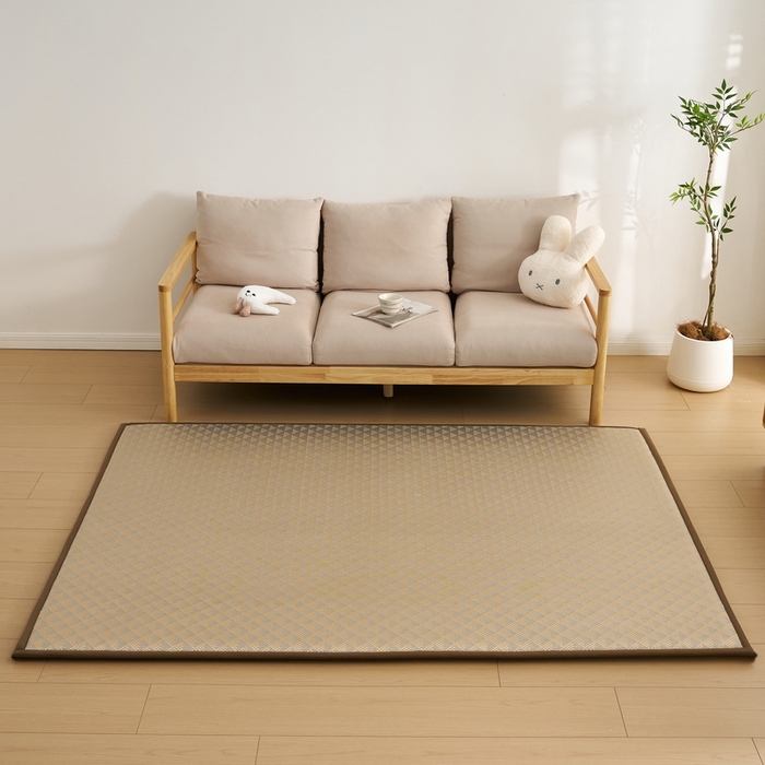 91家纺网 家纺一手货源 找家纺 （总）祁恋婷家居 2025新款A类冰丝多功能地垫