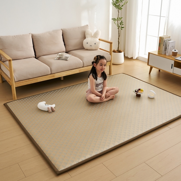 91家纺网 家纺一手货源 找家纺 （总）祁恋婷家居 2025新款A类冰丝多功能地垫