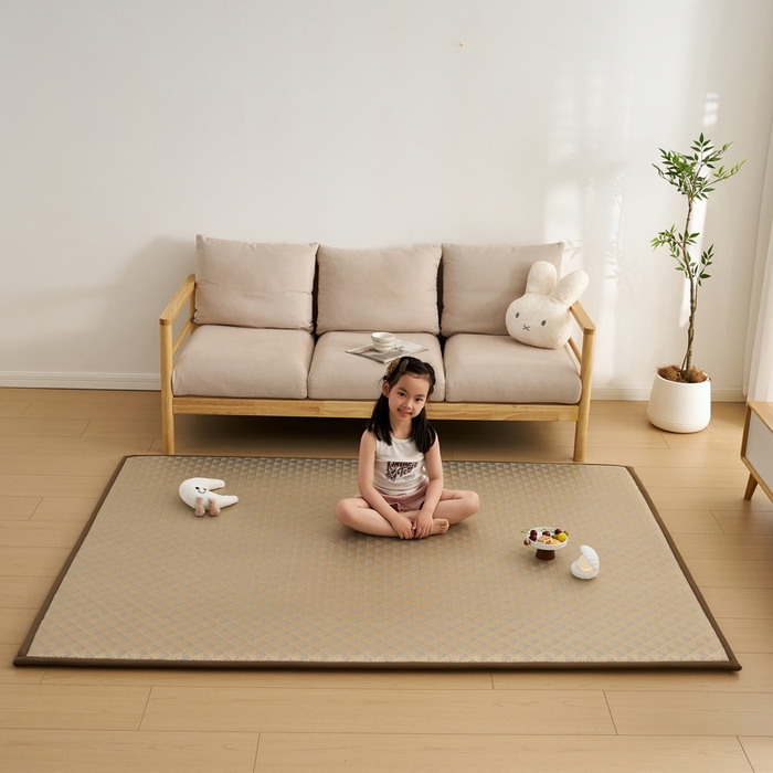 91家纺网 家纺一手货源 找家纺 （总）祁恋婷家居 2025新款A类冰丝多功能地垫