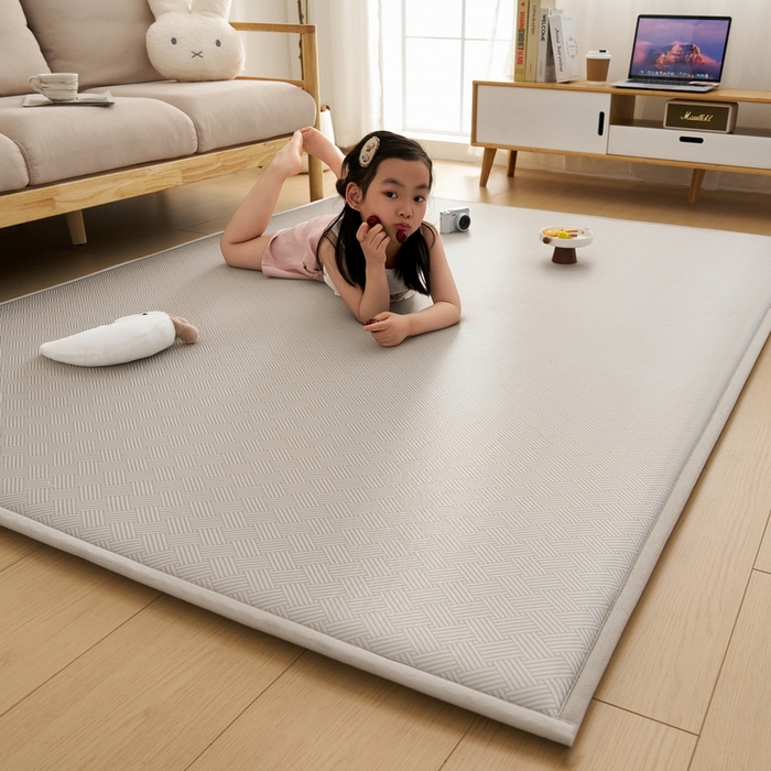 91家纺网 家纺一手货源 找家纺 祁恋婷家居 2025新款A类冰丝多功能地垫 青春岁月-灰