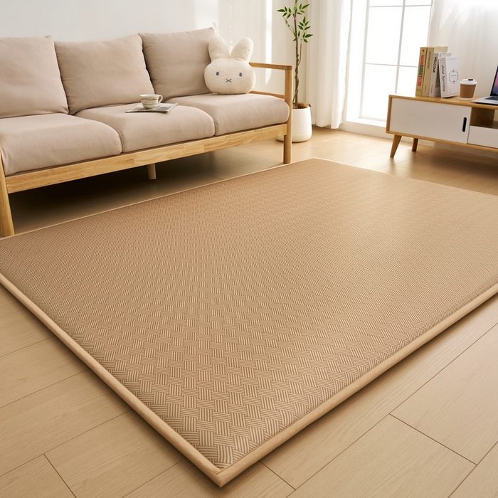 91家纺网 家纺一手货源 找家纺 祁恋婷家居 2025新款A类冰丝多功能地垫 青春岁月-卡其