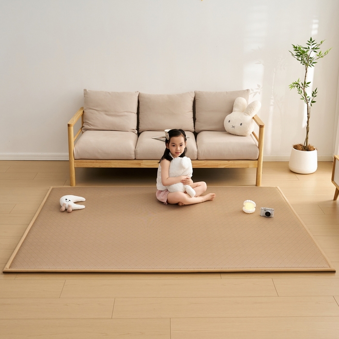 91家纺网 家纺一手货源 找家纺 祁恋婷家居 2025新款A类冰丝多功能地垫 青春岁月-卡其