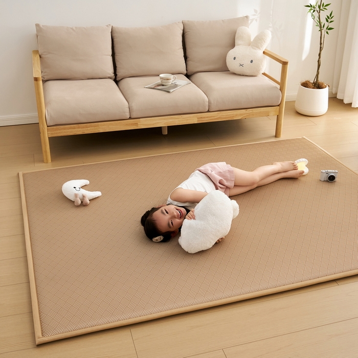 91家纺网 家纺一手货源 找家纺 祁恋婷家居 2025新款A类冰丝多功能地垫 青春岁月-卡其