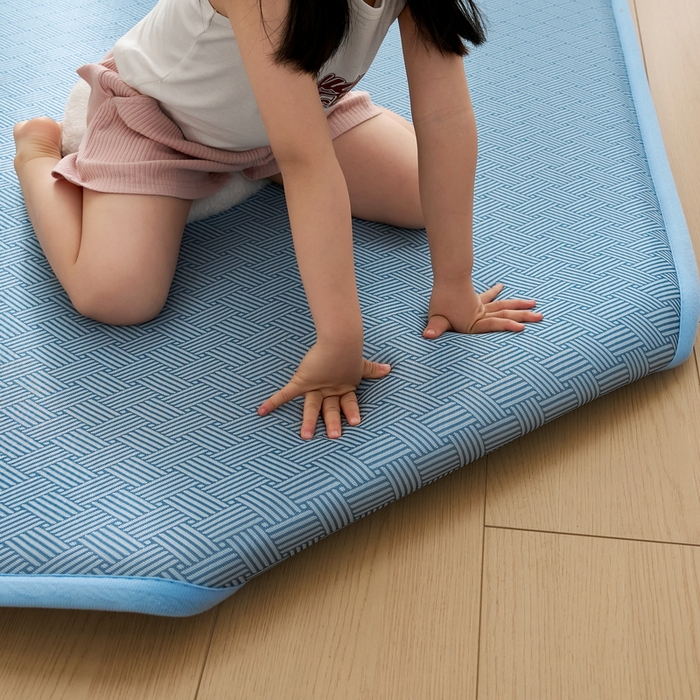 91家纺网 家纺一手货源 找家纺 祁恋婷家居 2025新款A类冰丝多功能地垫 青春岁月-蓝