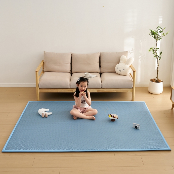 91家纺网 家纺一手货源 找家纺 祁恋婷家居 2025新款A类冰丝多功能地垫 青春岁月-蓝