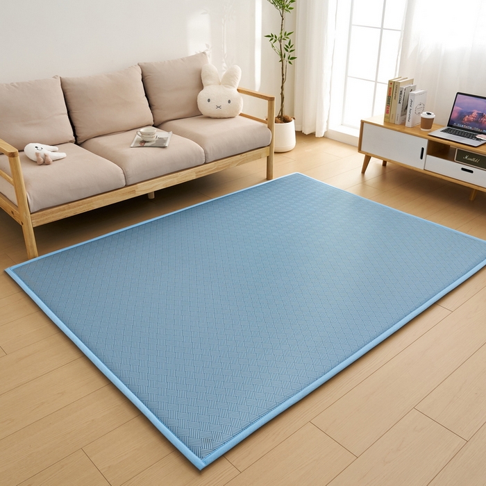 91家纺网 家纺一手货源 找家纺 祁恋婷家居 2025新款A类冰丝多功能地垫 青春岁月-蓝