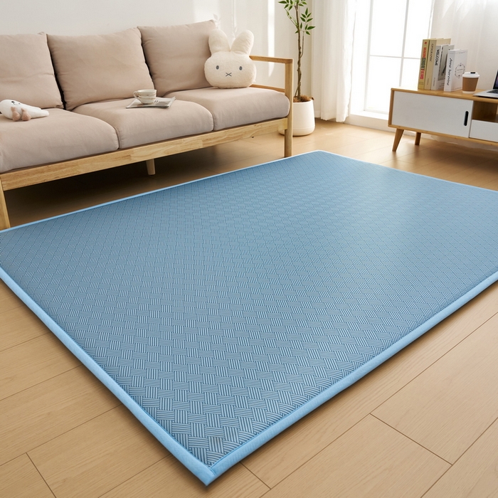 91家纺网 家纺一手货源 找家纺 祁恋婷家居 2025新款A类冰丝多功能地垫 青春岁月-蓝