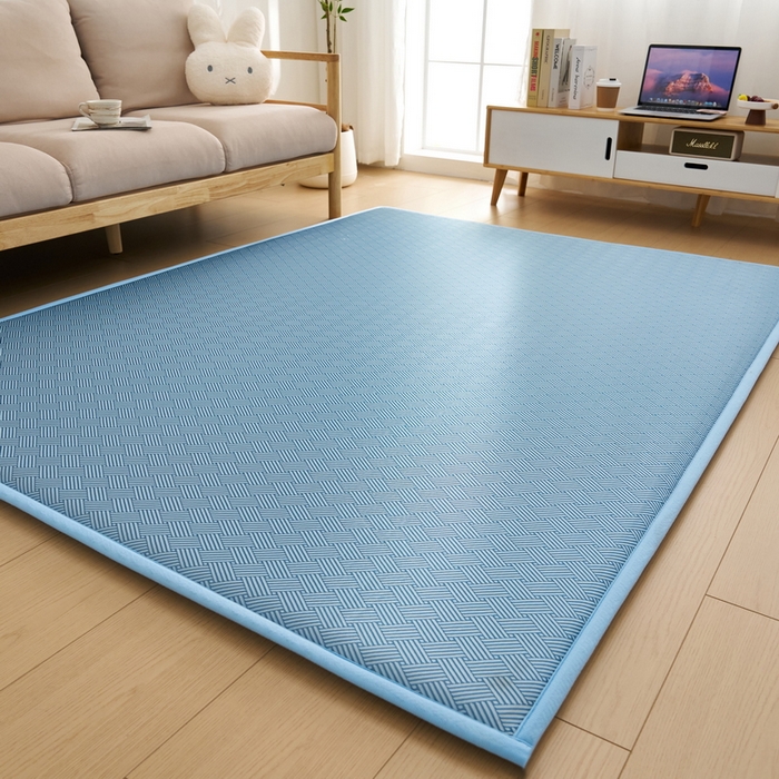 91家纺网 家纺一手货源 找家纺 祁恋婷家居 2025新款A类冰丝多功能地垫 青春岁月-蓝