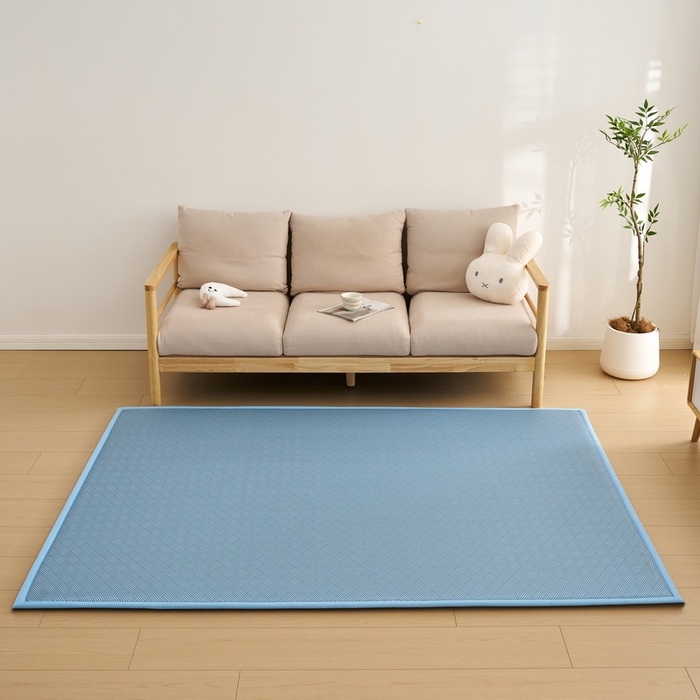 91家纺网 家纺一手货源 找家纺 祁恋婷家居 2025新款A类冰丝多功能地垫 青春岁月-蓝