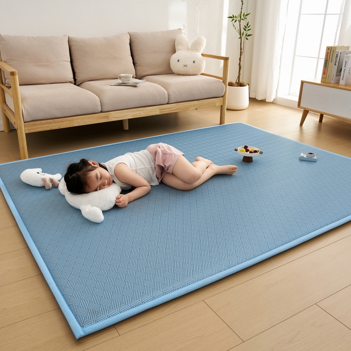 91家纺网 家纺一手货源 找家纺 祁恋婷家居 2025新款A类冰丝多功能地垫 青春岁月-蓝