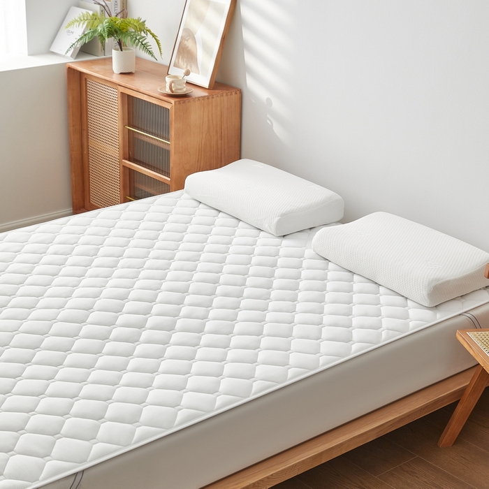 91家纺网 家纺一手货源 找家纺 祁恋婷家居 2025新款A类水洗棉藤席两用床褥 水洗棉白-藤席床褥