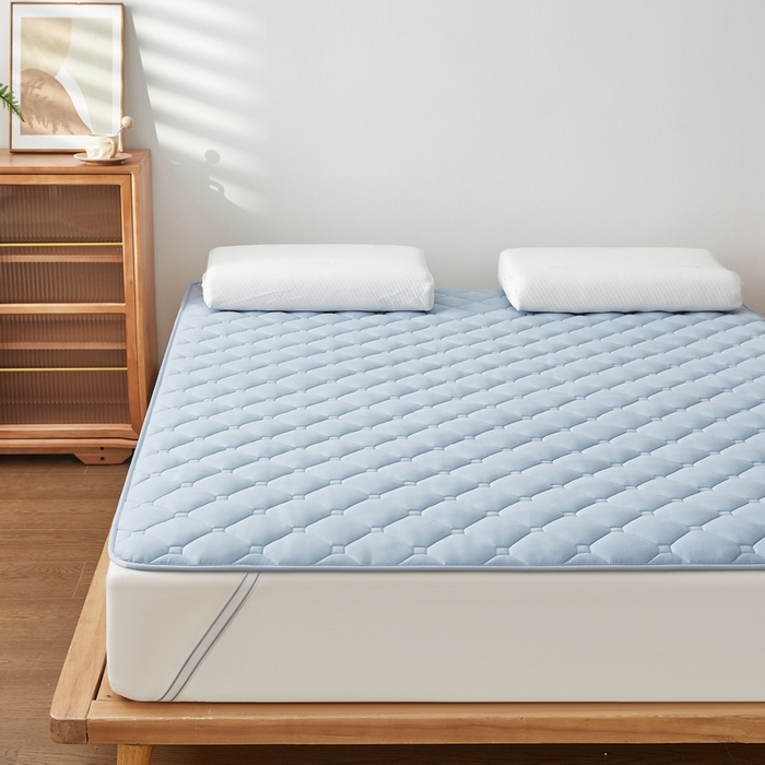 91家纺网 家纺一手货源 找家纺 祁恋婷家居 2025新款A类水洗棉藤席两用床褥 水洗棉蓝-藤席床褥