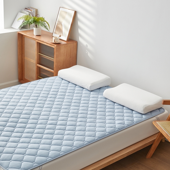 91家纺网 家纺一手货源 找家纺 祁恋婷家居 2025新款A类水洗棉藤席两用床褥 水洗棉蓝-藤席床褥