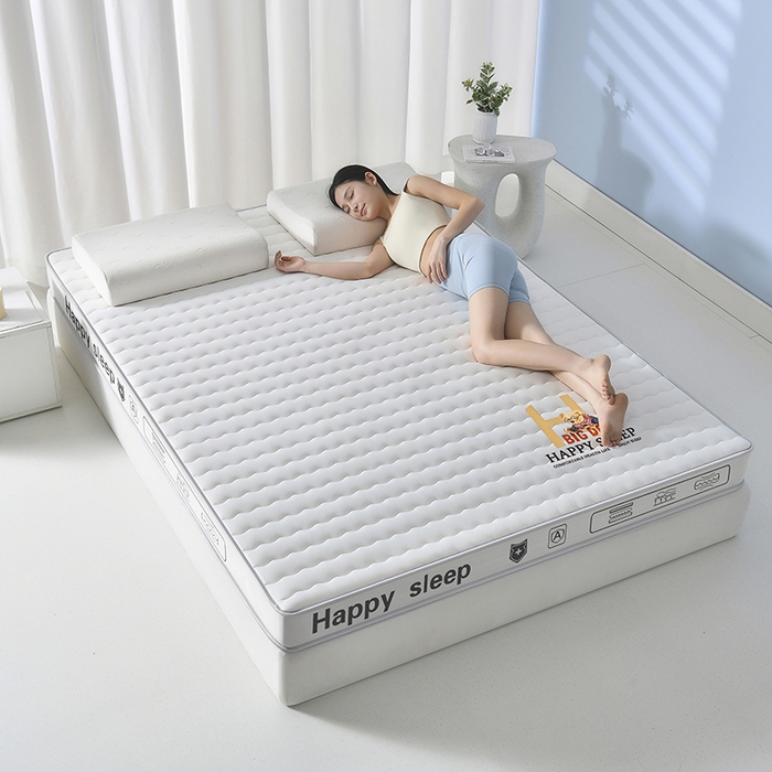 91家纺网 家纺一手货源 找家纺 顺发床垫 2025新款A类牛奶丝乳胶记忆海绵床垫 H熊--白-5cm