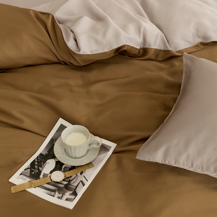 91家纺网 家纺一手货源 找家纺 2025新款A类奥地利进口60支兰精天丝莱赛尔轻奢纯色双拼四件套 敦煌色-曙光银