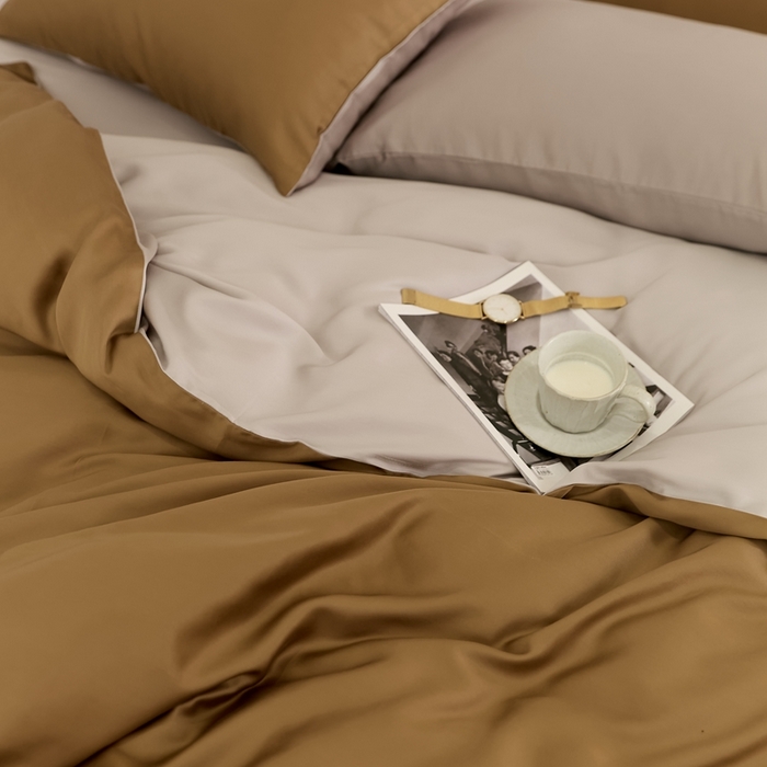 91家纺网 家纺一手货源 找家纺 2025新款A类奥地利进口60支兰精天丝莱赛尔轻奢纯色双拼四件套 敦煌色-曙光银