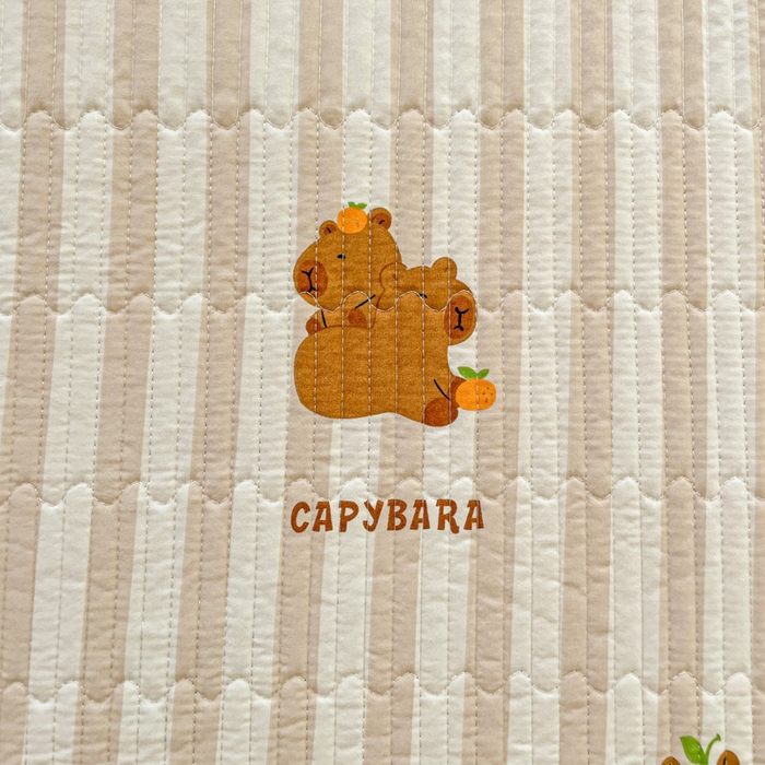 91家纺网 家纺一手货源 找家纺 金丝兔 2025新款小清新亲肤印花水洗棉单床盖 夹棉床盖 床盖三件套 卡皮巴拉