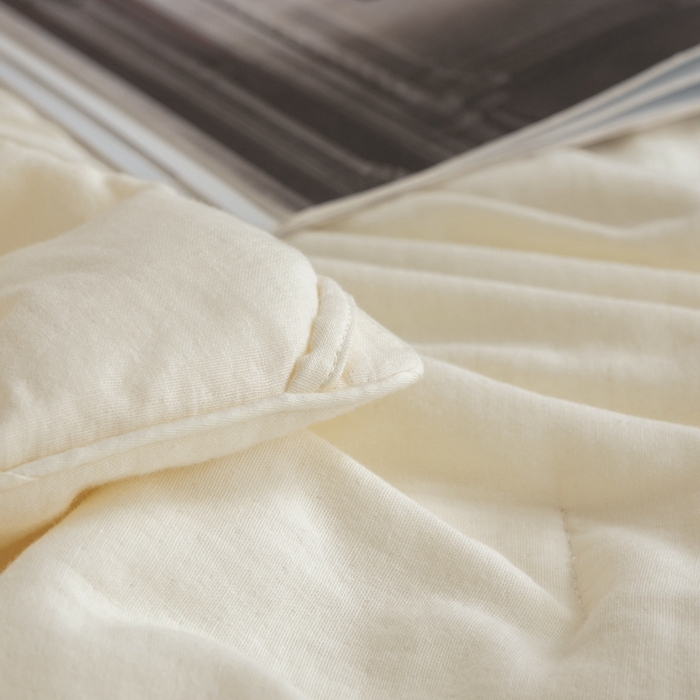 91家纺网 家纺一手货源 找家纺 蚕阿婆 2025新款纯棉双层纱蚕丝被蚕丝空调夏凉被 米色