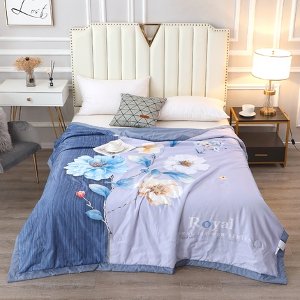贝兰仙奴 2025新款水洗天丝大中国风版夏被 紫嫣
