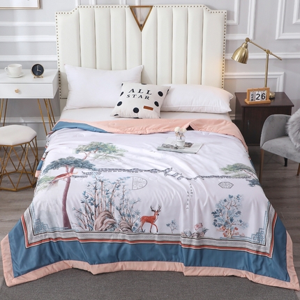 贝兰仙奴 2025新款水洗天丝大中国风版夏被 梦回江南