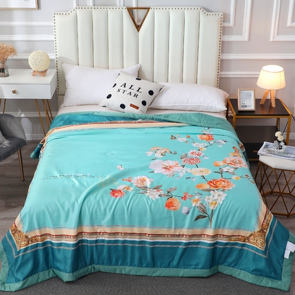 91家纺网 家纺一手货源 找家纺 （总）贝兰仙奴 2025新款水洗天丝大中国风版夏被