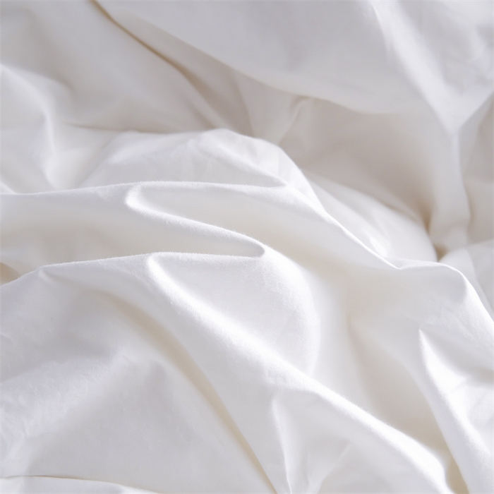 91家纺网 家纺一手货源 找家纺 呆头鹅羽绒工厂店 2025新款全棉羽丝绒扭花被 白鹅绒鸭绒被子被芯羽绒工厂店 白色