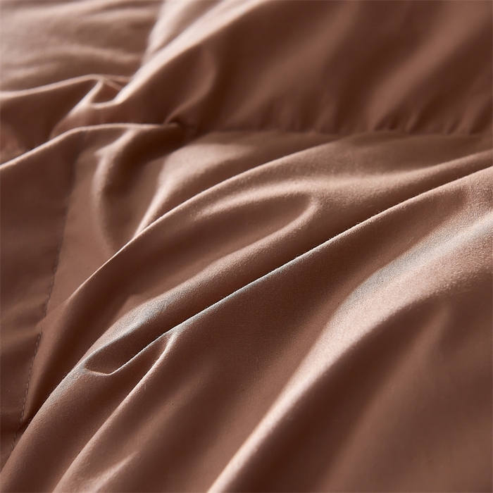 91家纺网 家纺一手货源 找家纺 呆头鹅羽绒工厂店 2025新款全棉羽丝绒标准被 白鹅绒鸭绒被子被芯羽绒工厂店 咖色