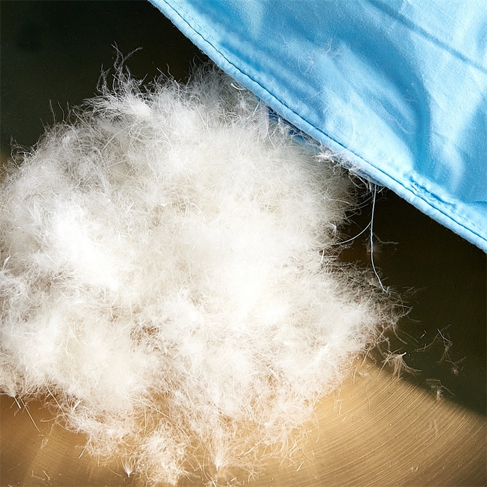 91家纺网 家纺一手货源 找家纺 呆头鹅羽绒工厂店 2025新款全棉羽丝绒标准被 白鹅绒鸭绒被子被芯羽绒工厂店 蓝色