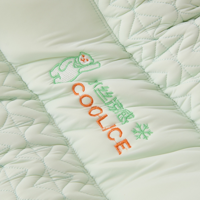 91家纺网 家纺一手货源 找家纺 卓昌枕芯 2025夏季新款冰丝凉感定形枕头枕芯 浅绿-凉感冰丝护颈枕 1000g高枕一只