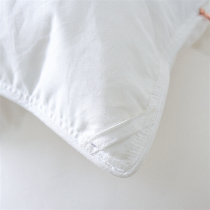 91家纺网 家纺一手货源 找家纺 （总）呆头鹅羽绒工厂店 2025新款100支柔赛丝单边羽绒被 白鹅绒鸭绒被子被芯羽绒工厂店