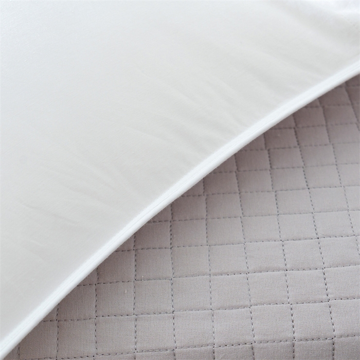 91家纺网 家纺一手货源 找家纺 （总）呆头鹅羽绒工厂店 2025新款100支柔赛丝单边羽绒被 白鹅绒鸭绒被子被芯羽绒工厂店