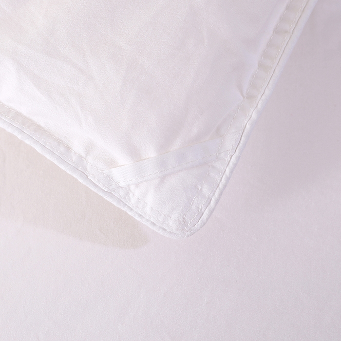 91家纺网 家纺一手货源 找家纺 呆头鹅羽绒工厂店 2025新款全棉防羽布羽绒被-标准款 白鹅绒鸭绒被子被芯羽绒工厂店 白色