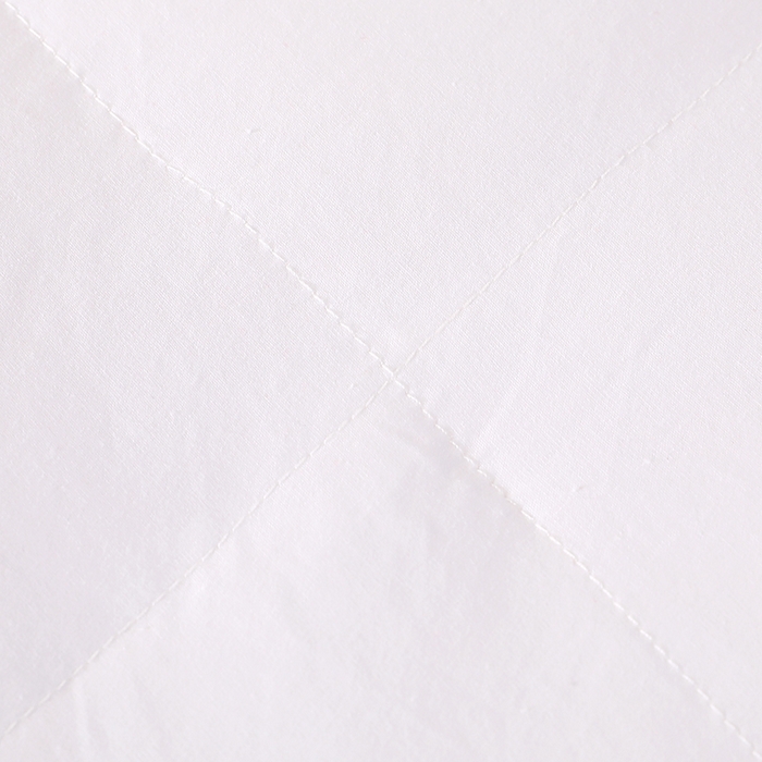 91家纺网 家纺一手货源 找家纺 呆头鹅羽绒工厂店 2025新款全棉防羽布羽绒被-标准款 白鹅绒鸭绒被子被芯羽绒工厂店 白色